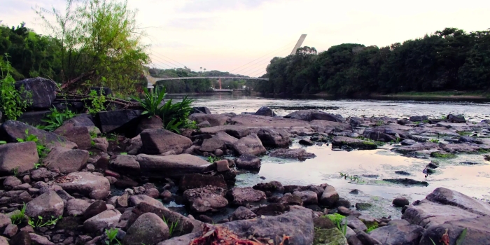 Foto de capa da notícia