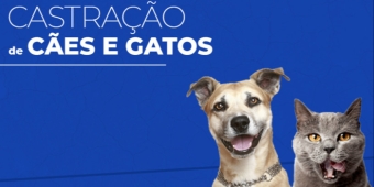 Imagem de capa da notícia