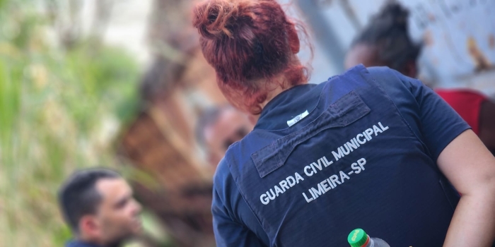 Foto de capa da notícia