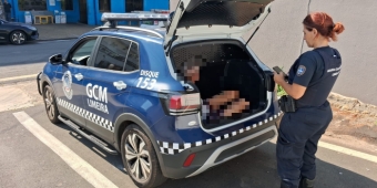 Imagem de capa da notícia