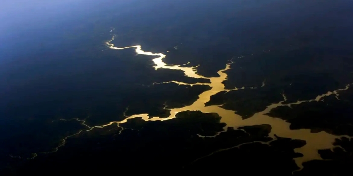 Foto de capa da notícia