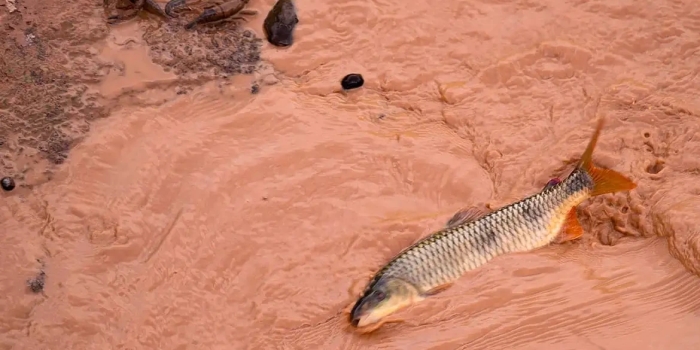 Foto de capa da notícia