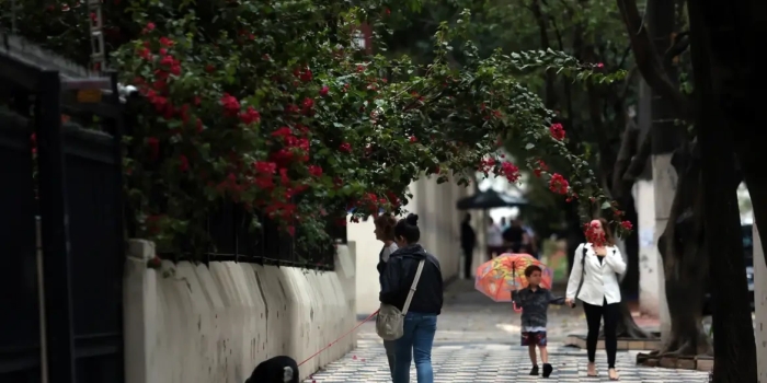 Foto de capa da notícia
