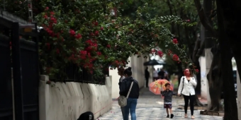 Imagem de capa da notícia