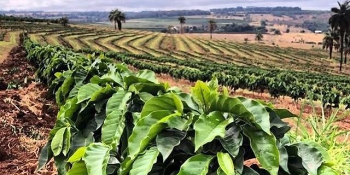 Foto de capa da notícia