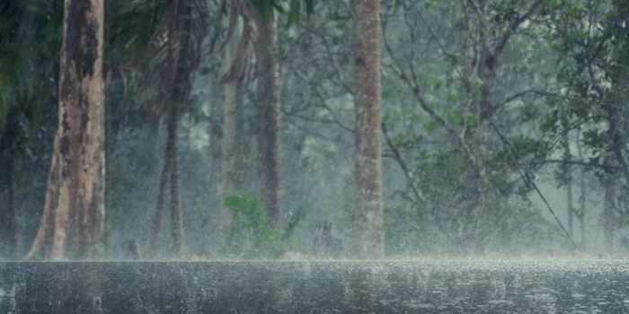 Foto de capa da notícia