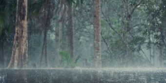 Imagem de capa da notícia