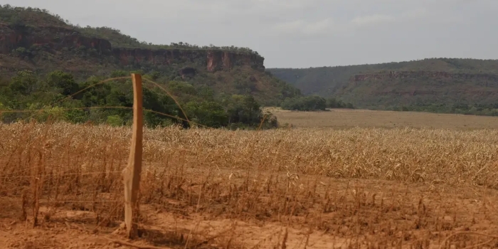 Foto de capa da notícia