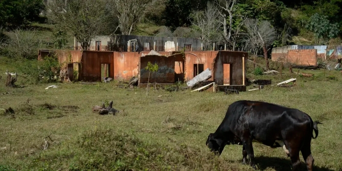 Foto de capa da notícia