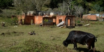 Imagem de capa da notícia