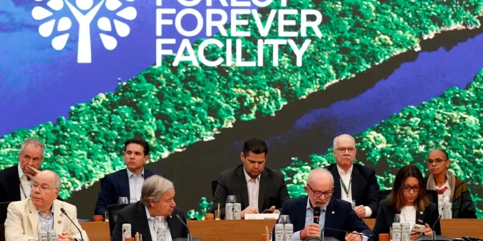 Foto de capa da notícia