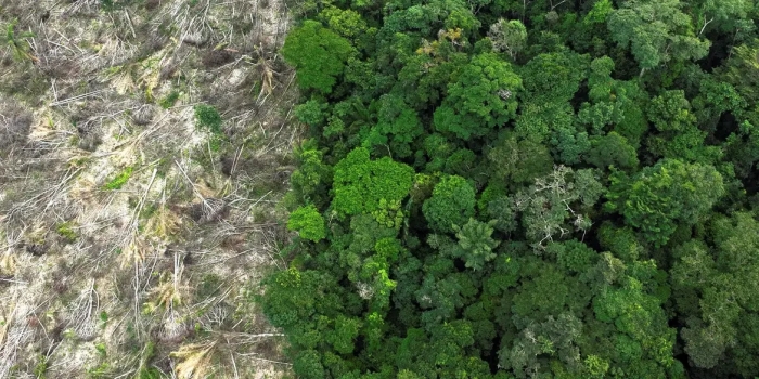 Foto de capa da notícia
