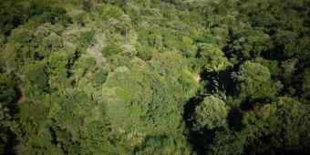 Imagem de capa da notícia