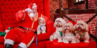 Imagem de capa da notícia