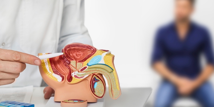 Foto de capa da notícia