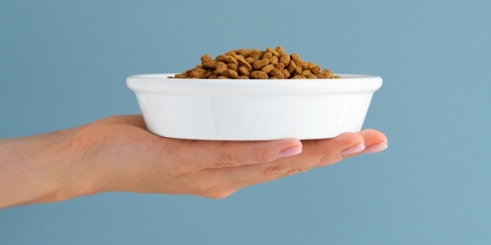 Foto de capa da notícia