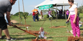 Imagem de capa da notícia