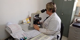 Imagem de capa da notícia