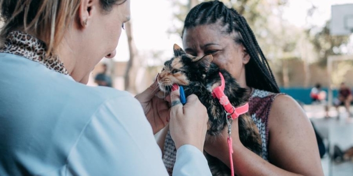 Foto de capa da notícia