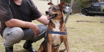 Imagem de capa da notícia