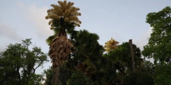 Imagem de capa da notícia