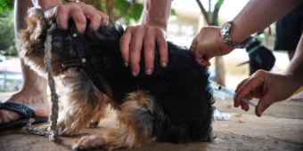 Imagem de capa da notícia