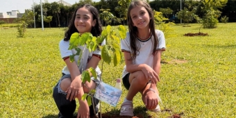 Imagem de capa da notícia