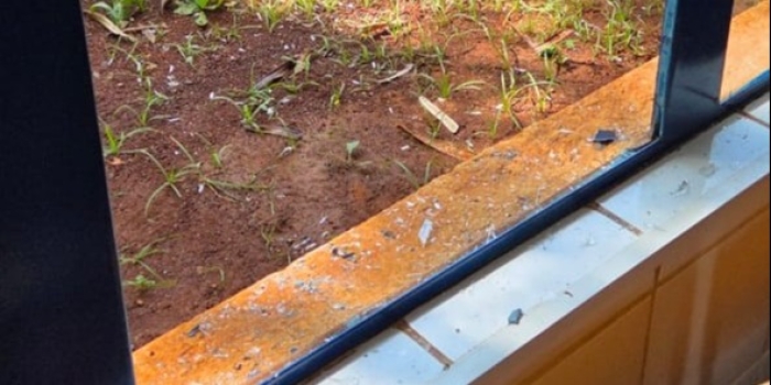 Foto de capa da notícia