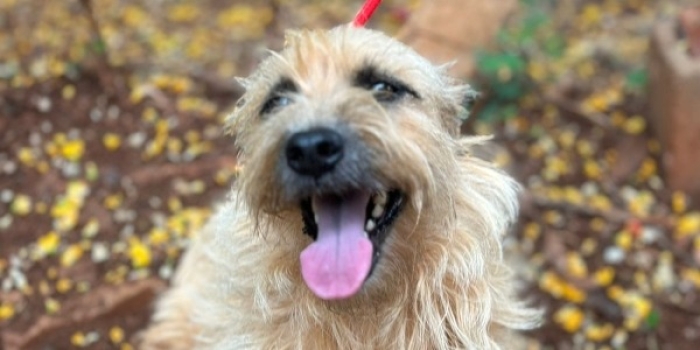 Foto de capa da notícia