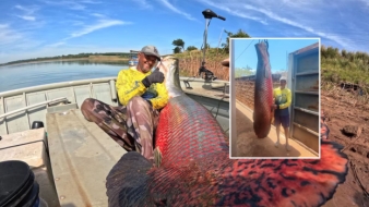 Imagem de capa da notícia