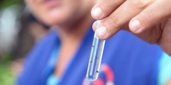 Imagem de capa da notícia