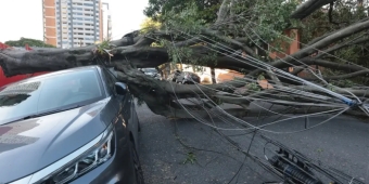 Imagem de capa da notícia