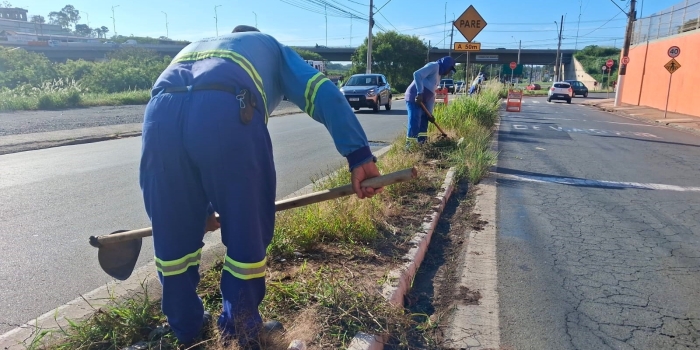 Foto de capa da notícia