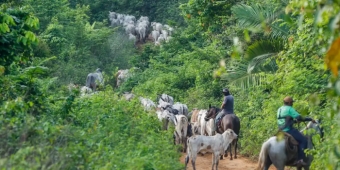 Imagem de capa da notícia