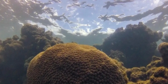 Imagem de capa da notícia