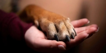 Imagem de capa da notícia