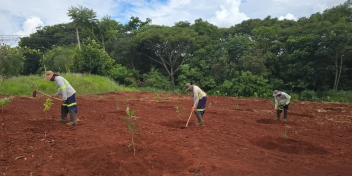 Foto de capa da notícia