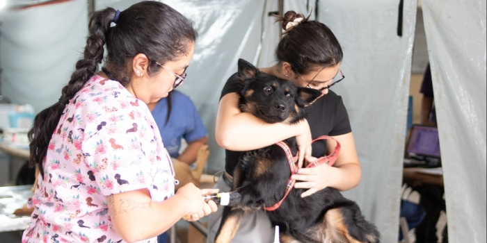 Foto de capa da notícia
