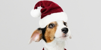 Imagem de capa da notícia