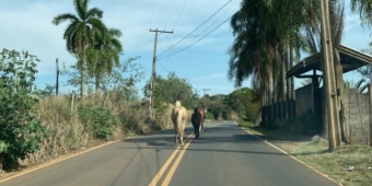 Imagem de capa da notícia