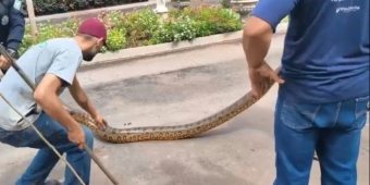 Imagem de capa da notícia