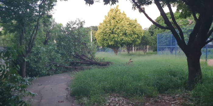 Foto de capa da notícia