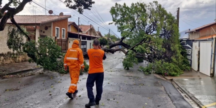 Foto de capa da notícia