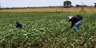 Imagem de capa da notícia