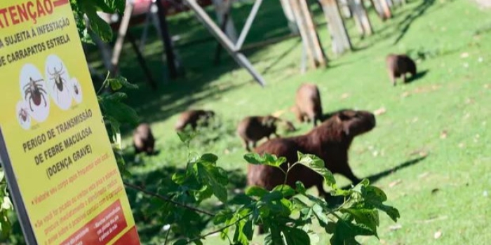 Foto de capa da notícia