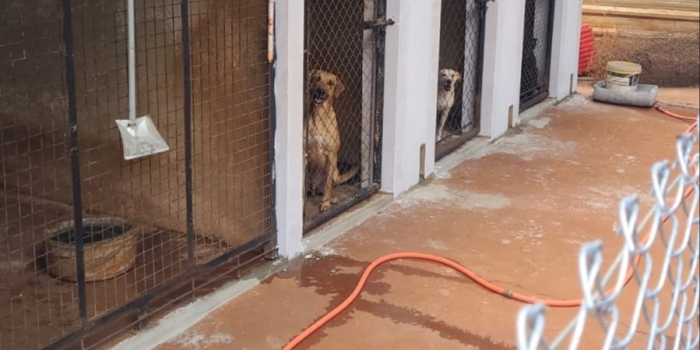 Foto de capa da notícia