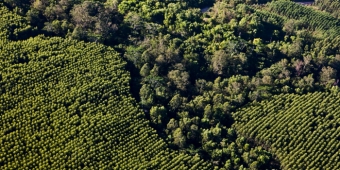 Imagem de capa da notícia