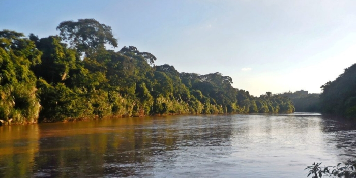 Foto de capa da notícia
