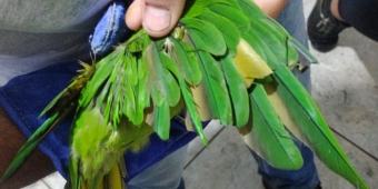 Imagem de capa da notícia