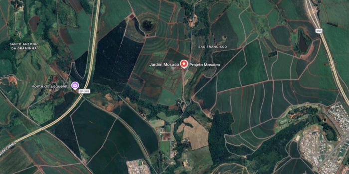 Foto de capa da notícia